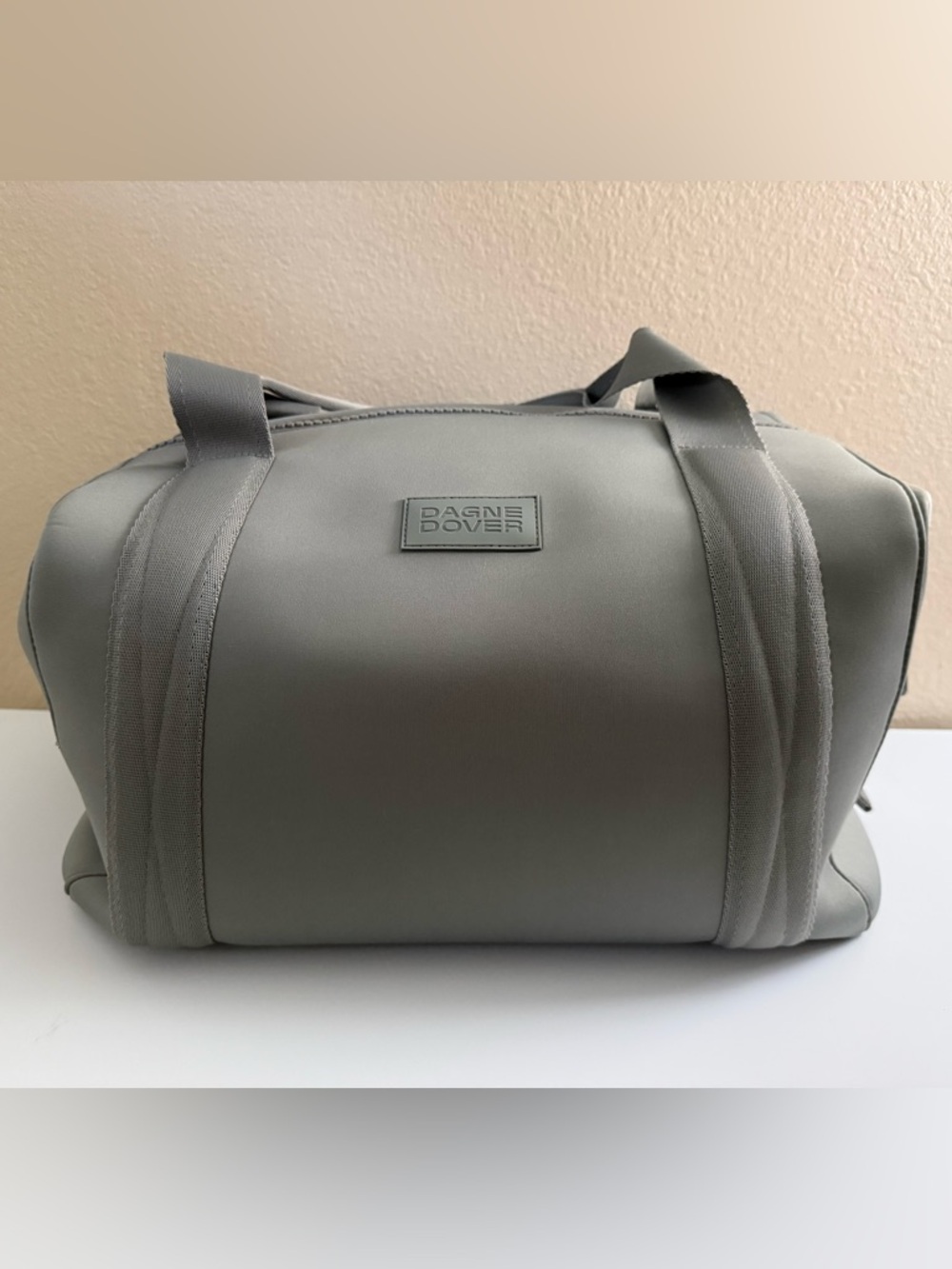NWT Dagne Dover Sage Landon Carryall Large